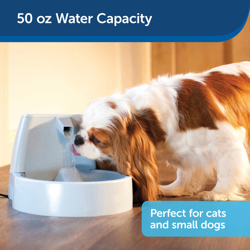 PetSafe Drinkwell Original Dog and Cat Water Fountain