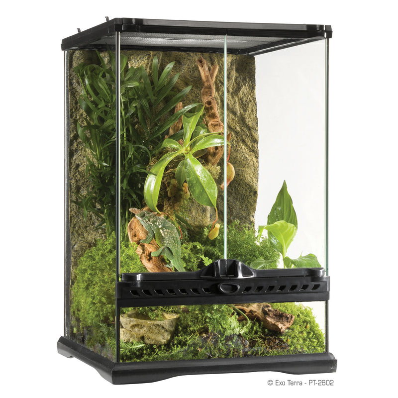 Exo Terra Glass Terrarium 12"x12"x18"