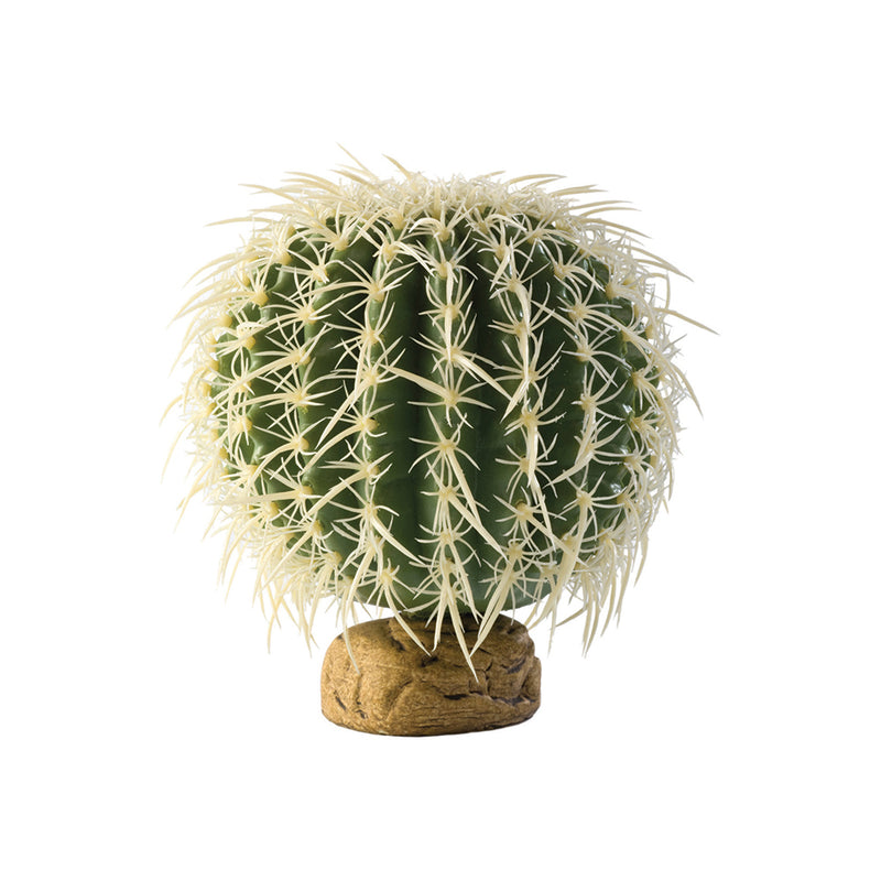 Exo-Terra Barrel Cactus