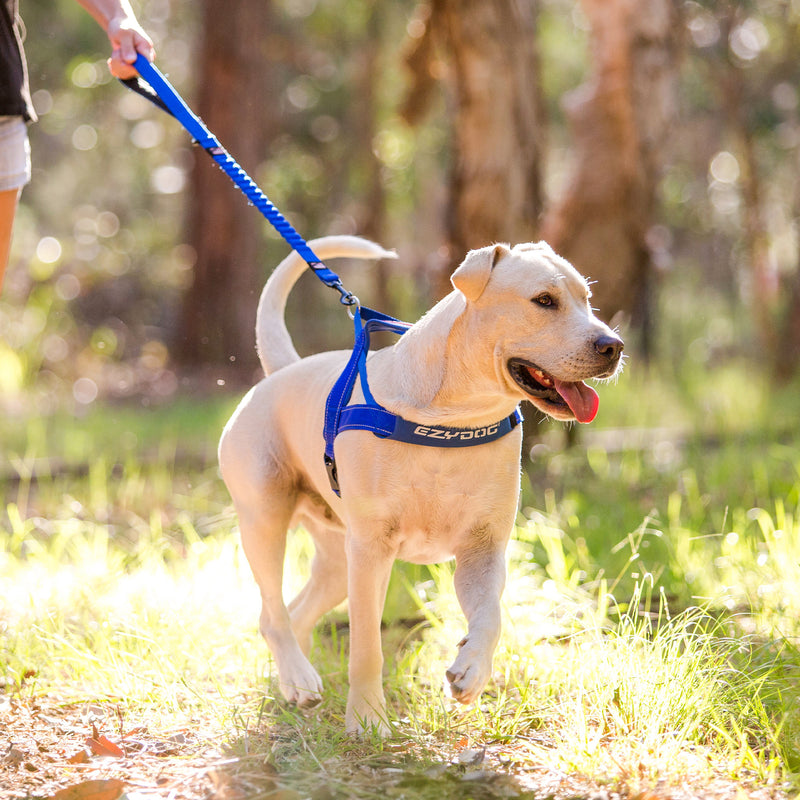 EzyDog Zero Shock Dog Leash - 25"