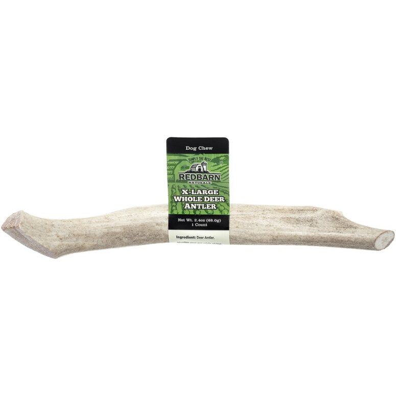 Redbarn X Large Whole Deer Antler Dog Chew