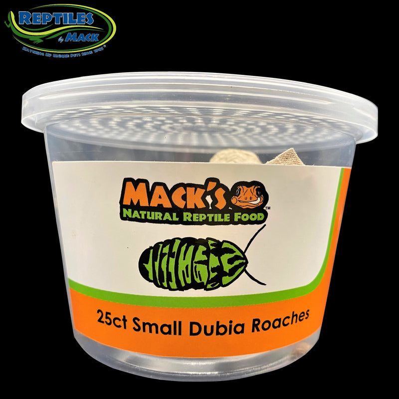 Mack's Natural Reptile Food Live Dubia Roaches