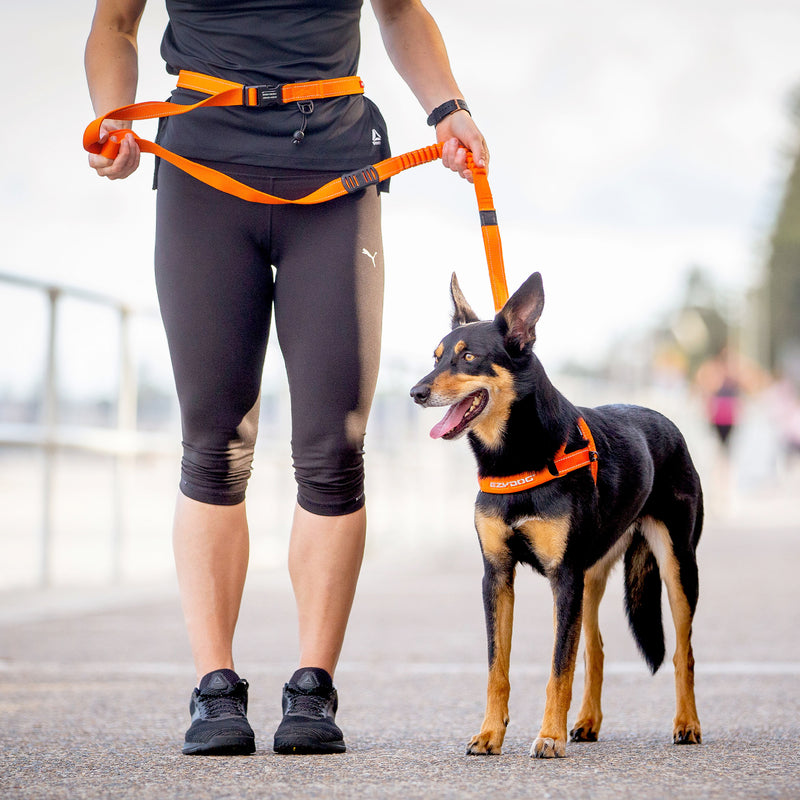 EzyDog Road Runner Dog Leash