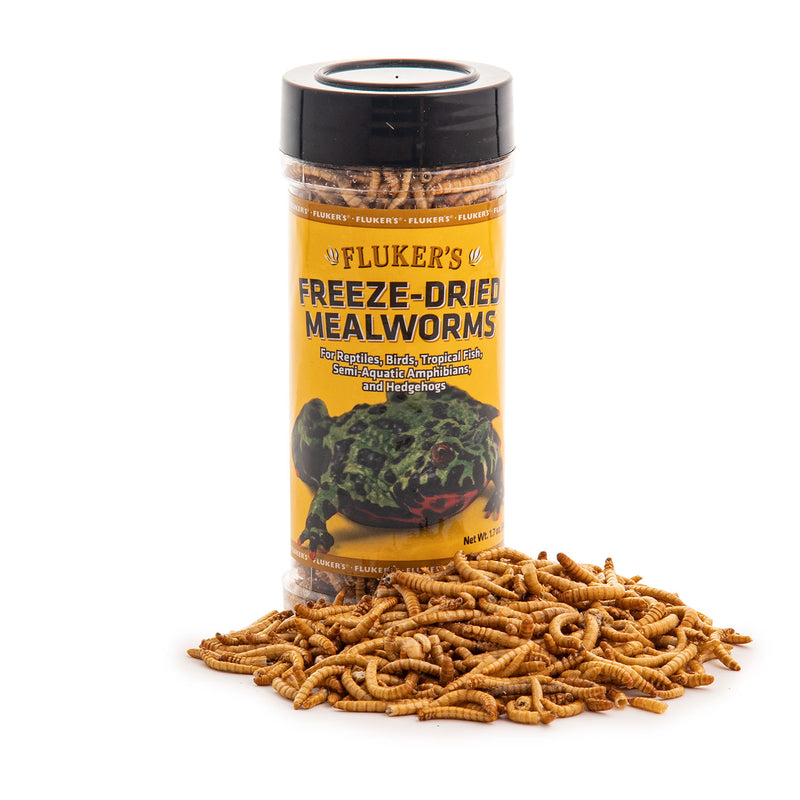 Fluker's Freeze Dried Mealworms Reptile Food