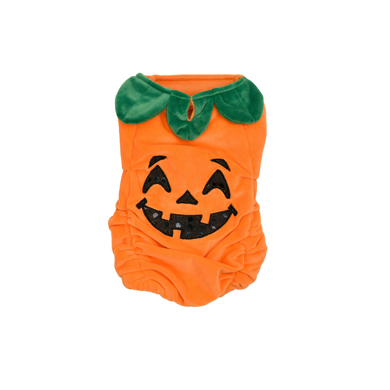 Small Pet Pumpkin Costume