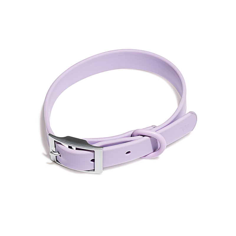 Wild One Dog Collar - Lilac