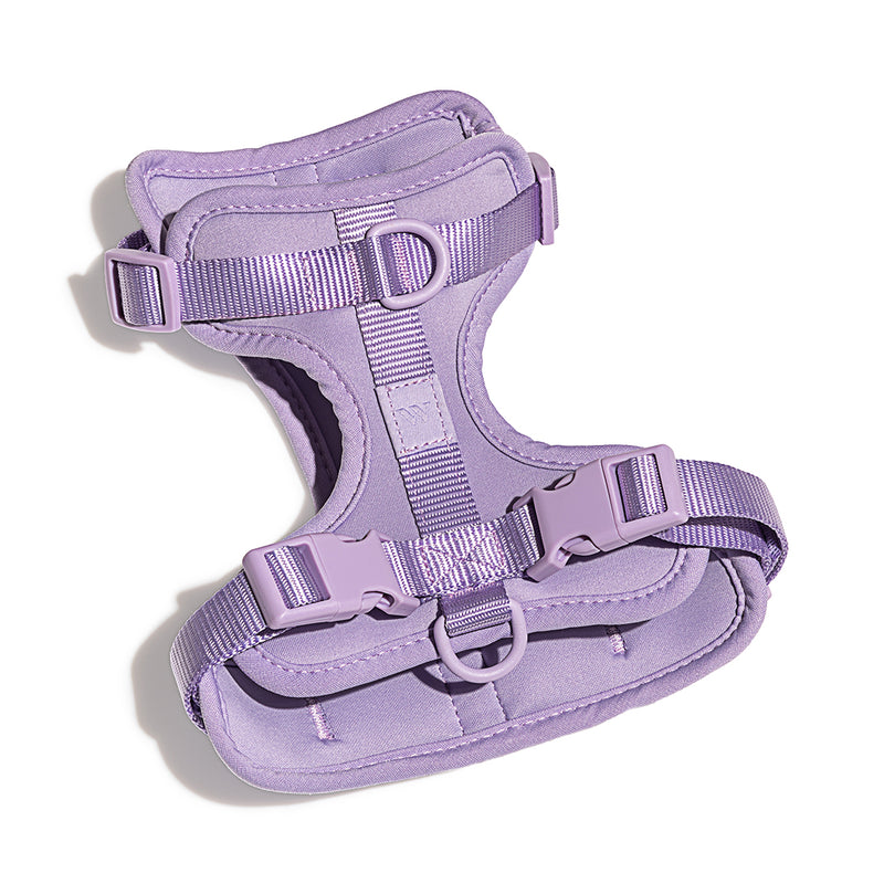 Wild One Dog Harness -Lilac