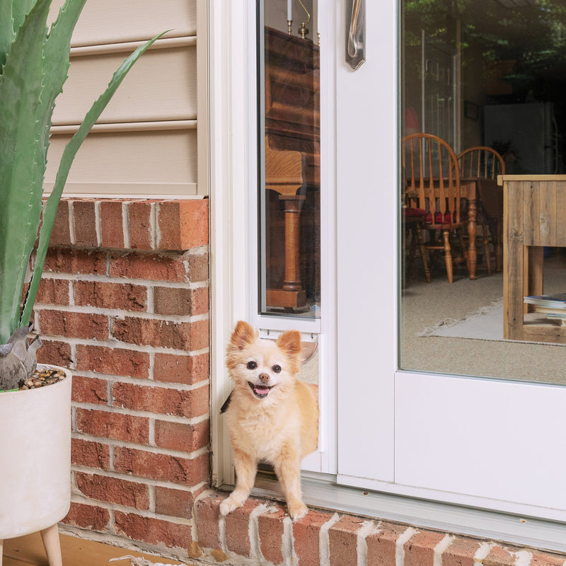 PetSafe® Sliding Glass Pet Door, 2-Piece