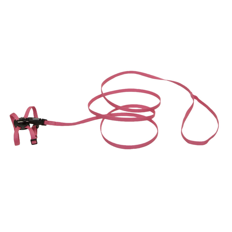 Li'l Pals® Adjustable Kitten Harness and 6' Leash Combo