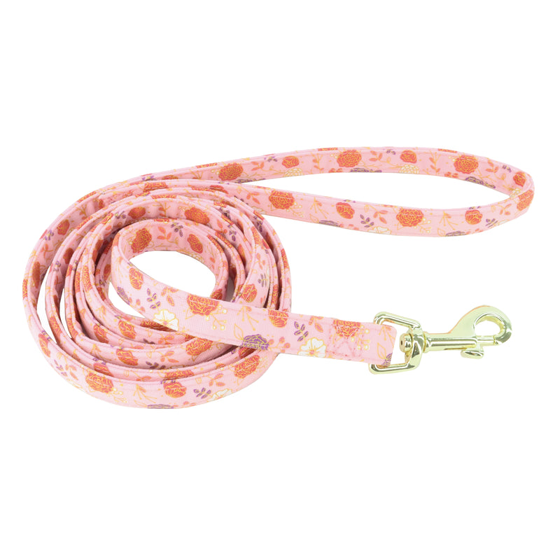 Accent Metallic Dog Leash