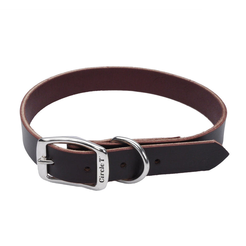 Circle T® Latigo Leather Town Dog Collar