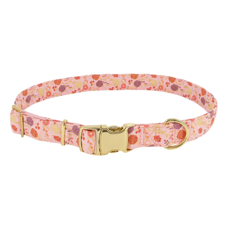 Accent Metallic Adjustable Dog Collar