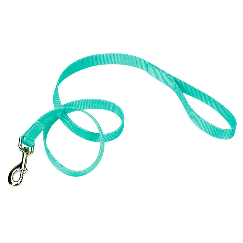 Coastal® Single-Ply Dog Leash, Teal 5/8" x 6'