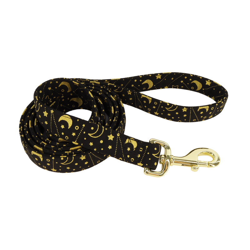 Accent Metallic Dog Leash