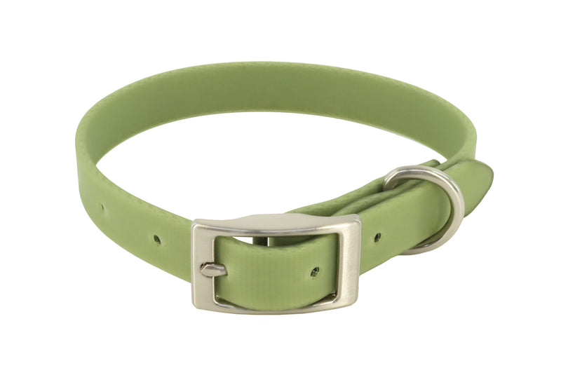 MuttNation Fueled by Miranda Lambert Waterproof Dog Collar Sage 3/4 X 13-18