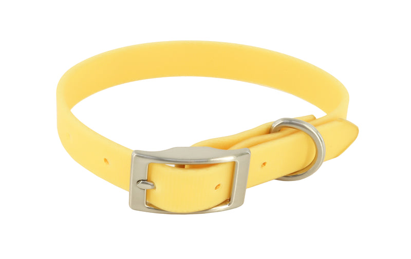 MuttNation Fueled by Miranda Lambert Waterproof Dog Collar Goldenrod 1 X 19-24