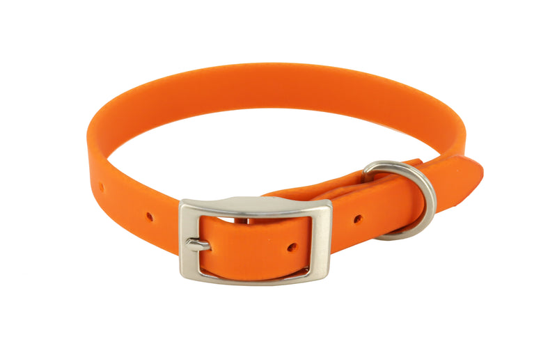 MuttNation Fueled by Miranda Lambert Waterproof Dog Collar Pumpkin 1 X 19-24