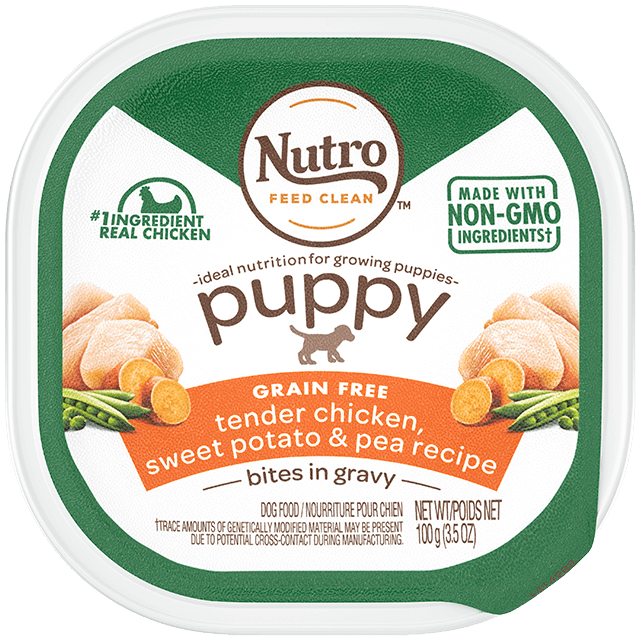 Nutro Puppy Tender Chicken & Rice Recipe Cuts In Gravy Dog Food Trays