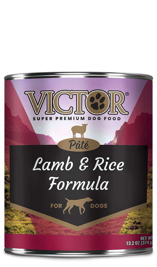 Victor Lamb & Rice Pate Canned Dog Food