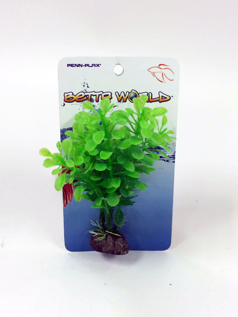 Penn Plax Green Betta Fish Aquarium Plant - 4 Inch